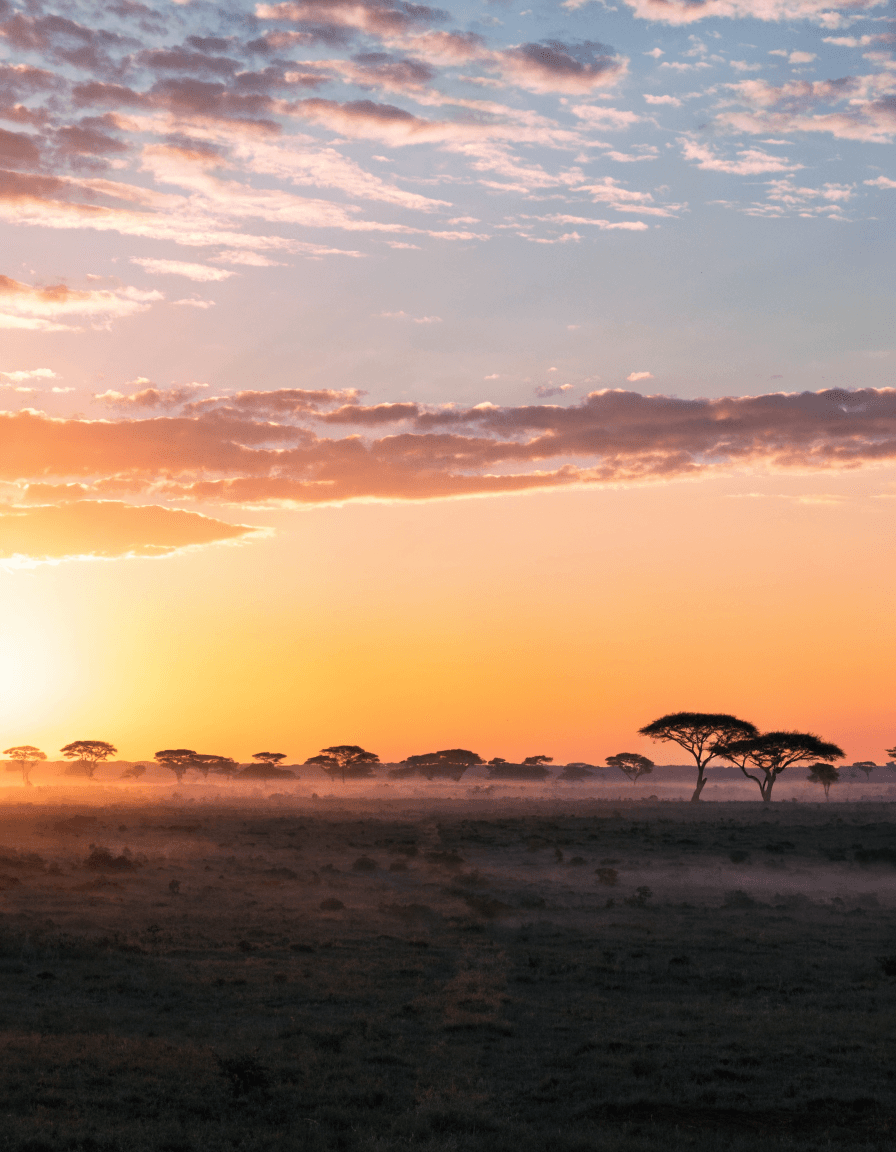 Vision - African sunrise
